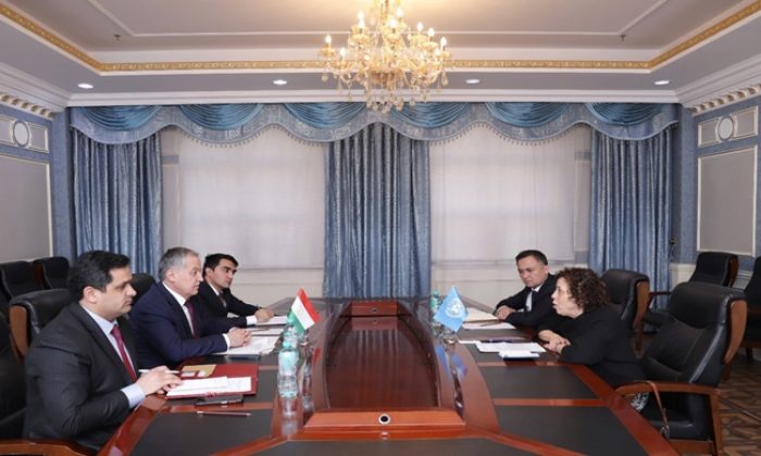 Meeting of the Minister of Foreign Affairs with the UN Resident Coordinator in Tajikistan